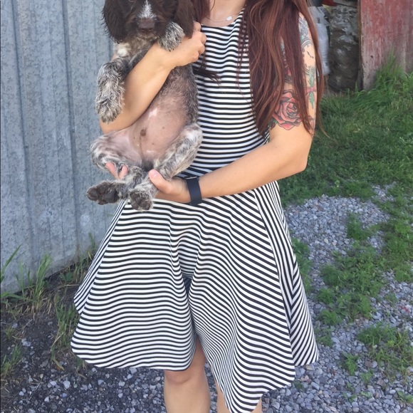 Womens dress GUESS. Size smal - Picture 4 of 4